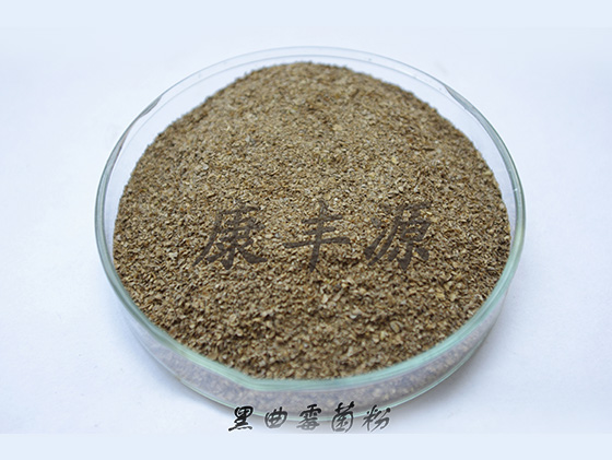 5d6641977346a.jpg 5d6641977346a.jpg