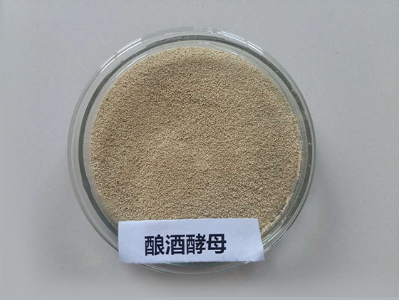 5d6643b54b189.jpg 5d6643b54b189.jpg