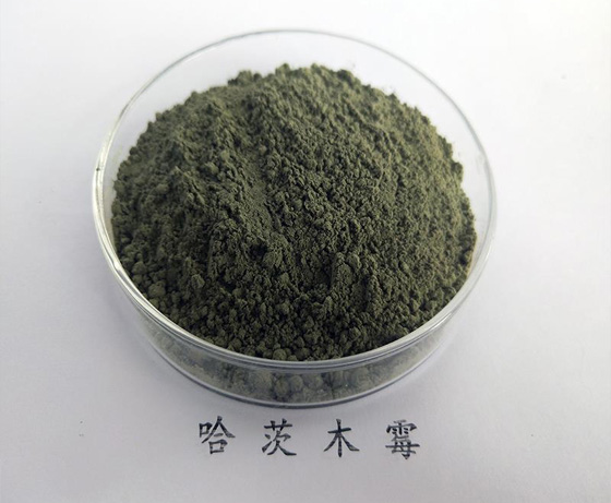 5d7ef02896010.jpg 215395de436433b66116565fa44c45c.jpg