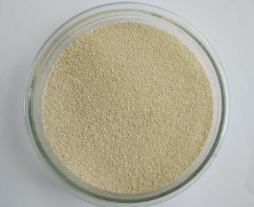 醋酸菌的用法與用量 醋酸菌的用法與用量