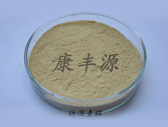 纖維素酶與半纖維素酶的區(qū)別 纖維素酶與半纖維素酶的區(qū)別