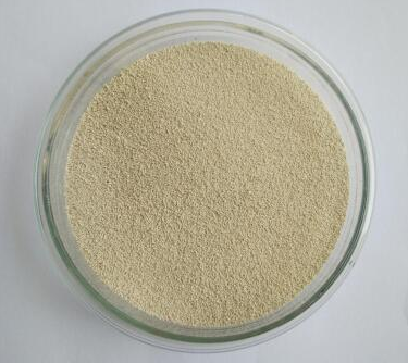 5edb089eb2a56.png 釀酒酵母.png