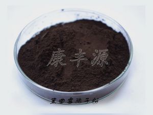 5ee2f5ebe76f2.jpg 黑曲霉.jpg